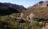 photo thumbnail #15