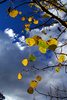photo thumbnail #11