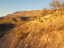 photo thumbnail #5