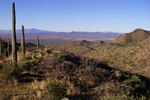 photo thumbnail #3