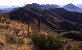 photo thumbnail #5