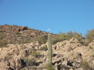photo thumbnail #2