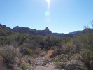photo thumbnail #10