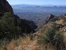 photo thumbnail #3