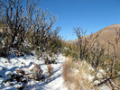 photo thumbnail #6