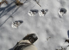 photo thumbnail #12