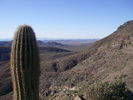 photo thumbnail #4
