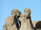 photo thumbnail #3