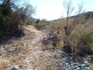 photo thumbnail #4