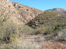 photo thumbnail #8