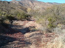 photo thumbnail #9
