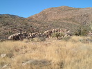 photo thumbnail #10