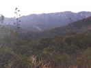 photo thumbnail #10