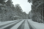 photo thumbnail #1