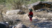 photo thumbnail #4