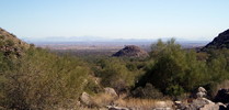 photo thumbnail #14