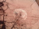 photo thumbnail #14