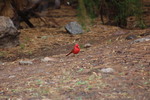 photo thumbnail #4