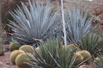 photo thumbnail #9