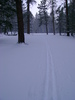 photo thumbnail #1