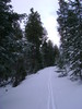 photo thumbnail #3