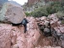 photo thumbnail #4