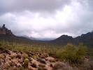 photo thumbnail #5