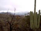 photo thumbnail #13