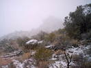 photo thumbnail #5