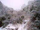 photo thumbnail #10