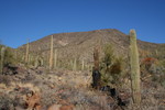 photo thumbnail #7