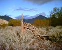 photo thumbnail #4