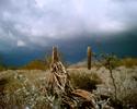 photo thumbnail #5