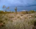 photo thumbnail #6
