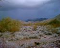 photo thumbnail #9
