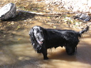 photo thumbnail #4