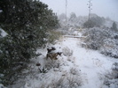 photo thumbnail #5