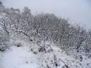 photo thumbnail #10