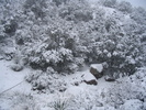 photo thumbnail #11