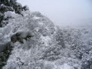 photo thumbnail #12