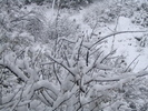 photo thumbnail #13