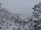 photo thumbnail #14