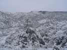 photo thumbnail #15