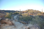 photo thumbnail #3
