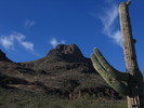photo thumbnail #1