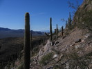 photo thumbnail #2