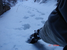 photo thumbnail #6