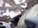 photo thumbnail #5