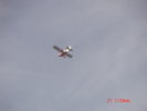 photo thumbnail #11