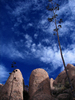 photo thumbnail #9